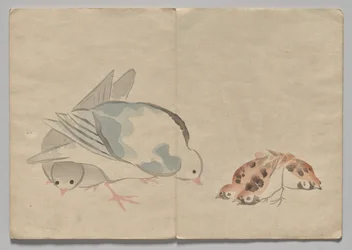 Scena dal Libro delle Immagini di Kōrin (Volume 1)