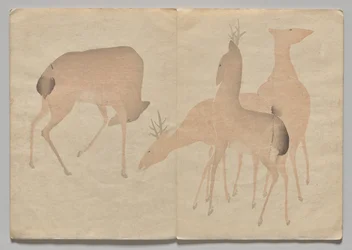Scena dal Libro delle Immagini di Kōrin (Volume 1)