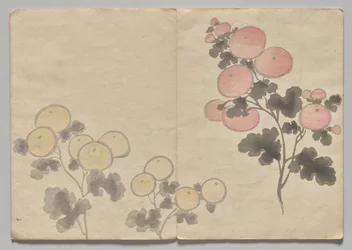 Scena dal Libro Illustrato di Kōrin (Volume 1)