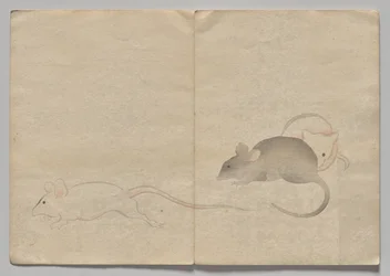 Scena dal Libro Illustrato di Kōrin (Volume 2)