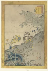Giovane tordo, pisello in fiore e colza (Quarantotto schizzi)