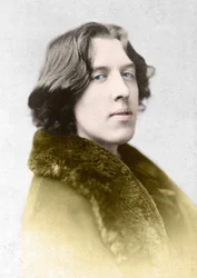 Ritratto di Oscar Wilde (1854 - 1900) intorno al 1882 di Napoleon Sarony (1821 - 1896)