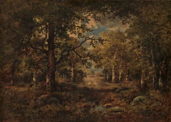 Vista attraverso gli alberi: Fontainebleau