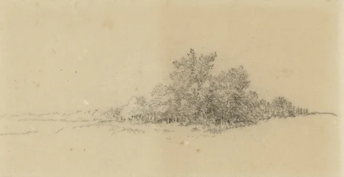 Bordo del bosco