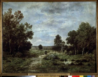 Paesaggio autunnale a Fontainebleau