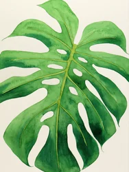 Foglia di Monstera tropicale