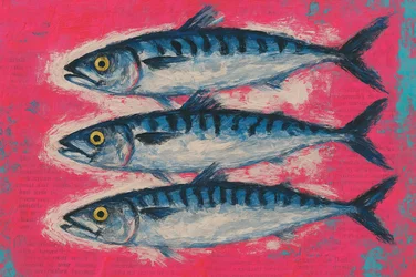 Trio di sgombri dai colori vivaci