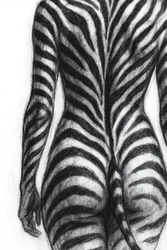 Modulo a strisce zebrate