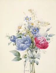 Una Rosa, Anemone, Mignonette e Margherite
