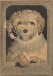 Tutto bene!, 1835-56