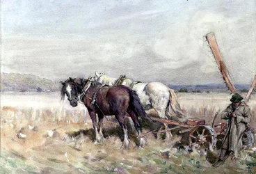 Raccolta