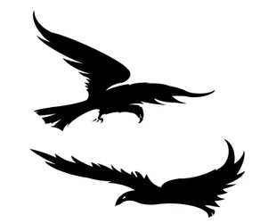 Silhouette di uccelli