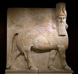 Toro alato dalla corte VIII nel palazzo del re Sargon II, Khorsabad, 721-705 a.C. (gesso?)