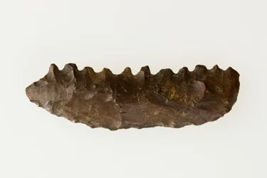 Falce bifacciale, c.4500-4000 a.C.