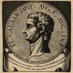 Immagine sconosciuta