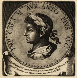Immagine sconosciuta