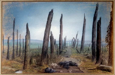 Prima Guerra Mondiale: 