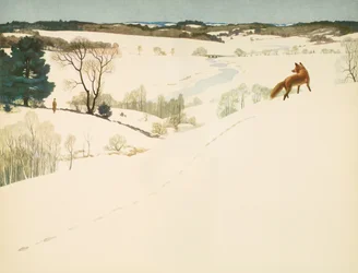 Volpe nella Neve, risguardo in 