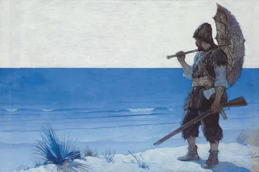 Robinson Crusoe: Risguardo