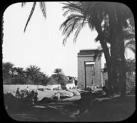 Viale delle Sfingi, Karnak, Egitto, c1890