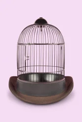 Gabbia Mentale, 2020