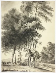 Alberi con montagne in lontananza