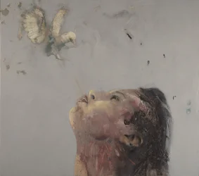 Lezione di volo V