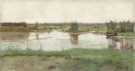Uno stagno in un pascolo
