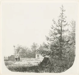 Paesaggio boscoso con nido di cicogne