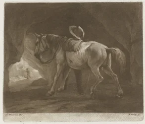 Cavallo che urina
