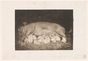 Scrofa con maialini