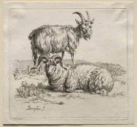 Animalia: Ariete e capra