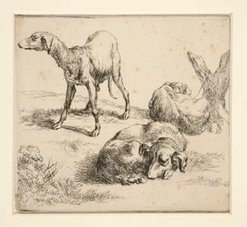 Tre Cani da Caccia