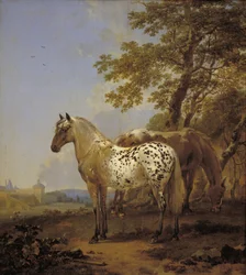 Due cavalli in un paesaggio