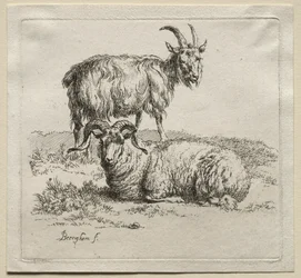 Ariete e capra