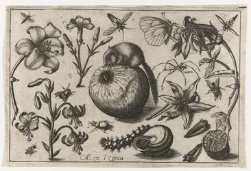 Fiori e un topo su una mela