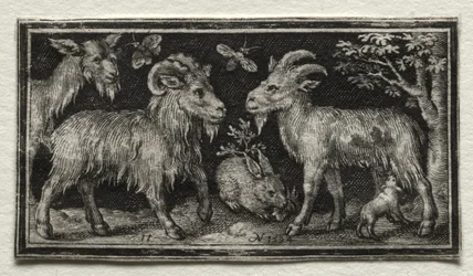 Capre e lepre, 1594