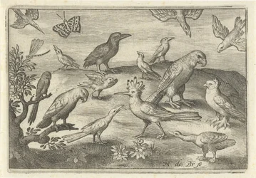 Upupa e altri uccelli (serie: Uccelli e insetti)