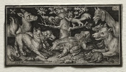 Rana a due teste circondata da animali, 1594