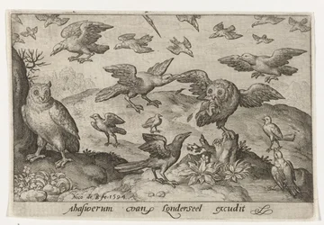 Gufo con preda assalito da altri uccelli