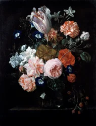 Un tulipano, garofani e gloria mattutina in un vaso di vetro, XVII secolo