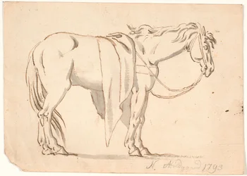 Un cavallo con coperta