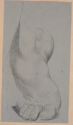 Studio di un piede
