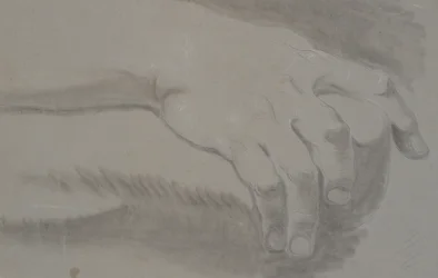 Studio di una mano
