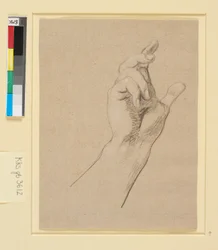 Studio di una mano