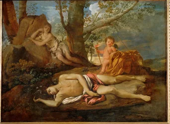 Eco e Narciso ...