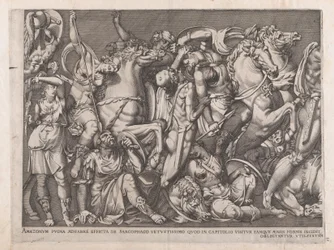 Speculum Romanae Magnificentiae: Battaglia delle Amazzoni, 1559