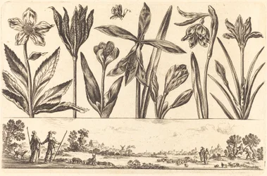 Stampa di fiori n.4