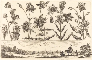 Stampa di fiori n.6