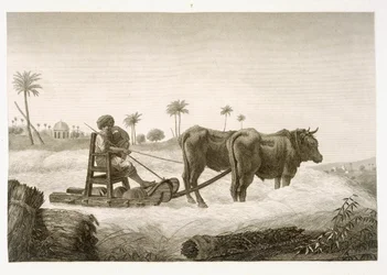 Raccolta del grano, dal Volume II Arti e Mestieri di 